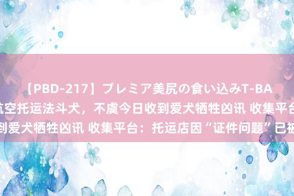 【PBD-217】プレミア美尻の食い込みT-BACK！8時間BEST 女子航空托运法斗犬，不虞今日收到爱犬牺牲凶讯 收集平台：托运店因“证件问题”已被屏蔽