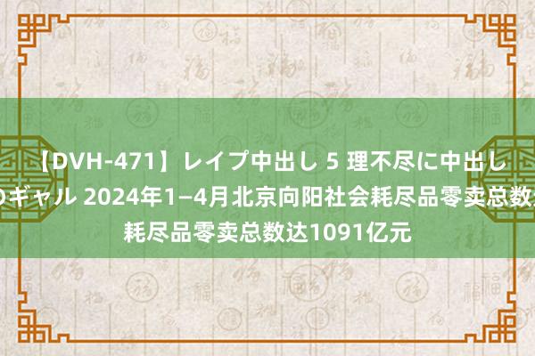 【DVH-471】レイプ中出し 5 理不尽に中出しされた7人のギャル 2024年1—4月北京向阳社会耗尽品零卖总数达1091亿元