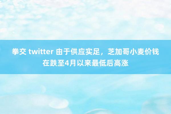 拳交 twitter 由于供应实足，芝加哥小麦价钱在跌至4月以来最低后高涨