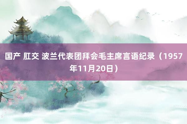 国产 肛交 波兰代表团拜会毛主席言语纪录（1957年11月20日）